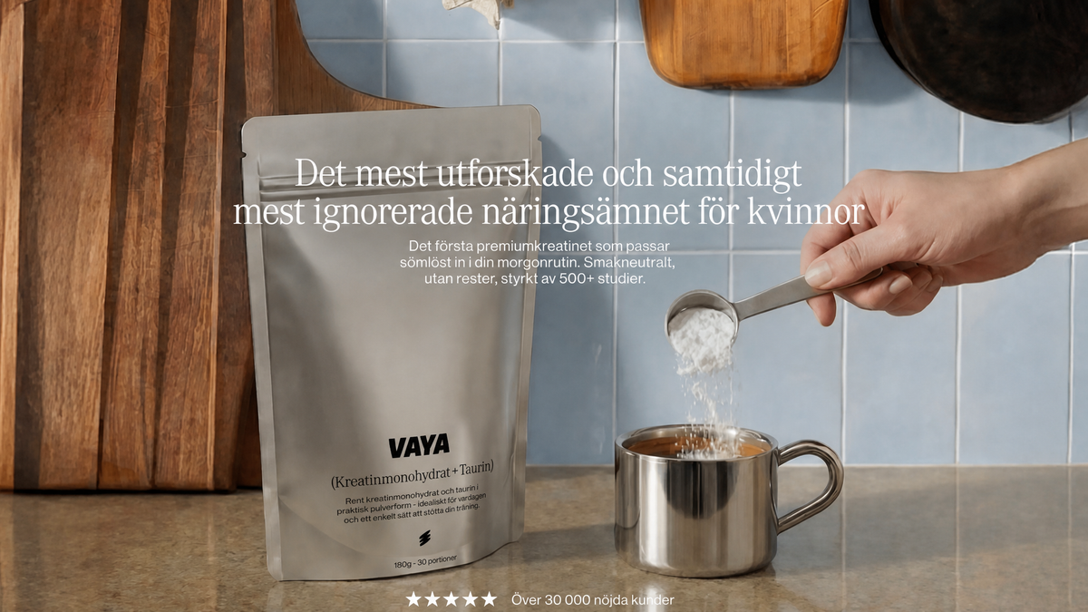 VAYA vaya_hero_sv_desktop